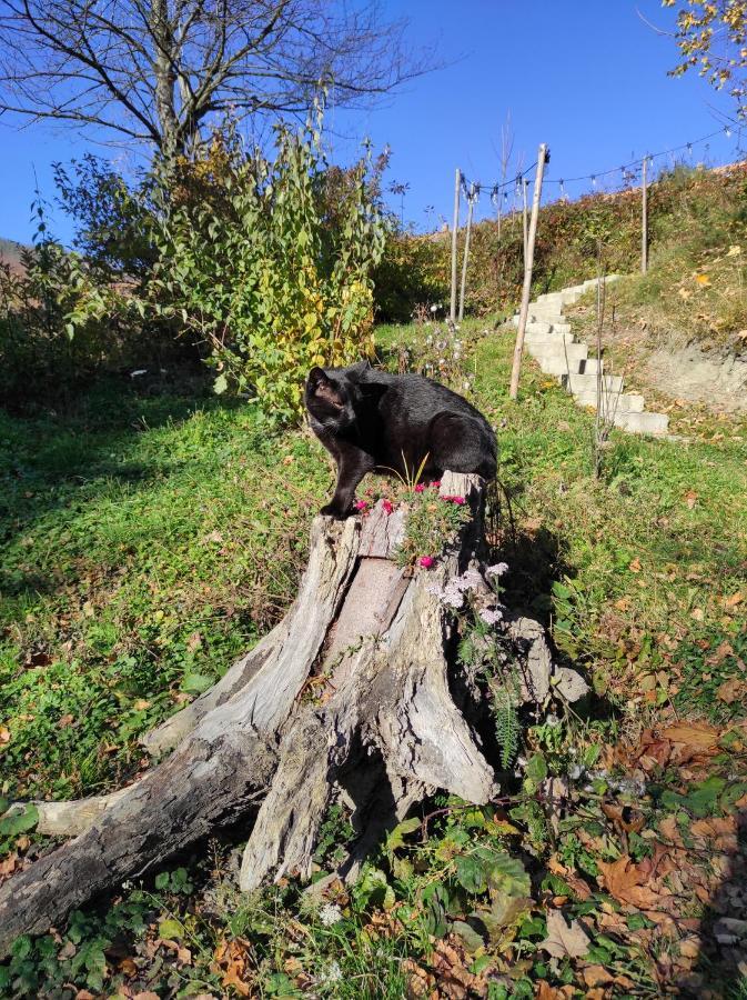 Appartamento Kocia Gorka Wisła Esterno foto
