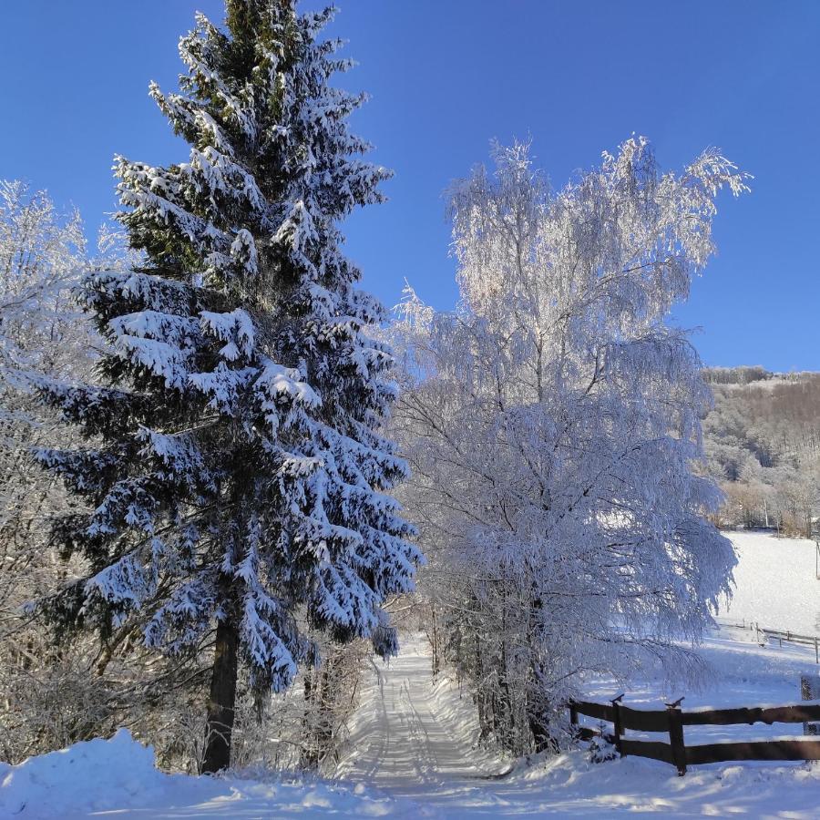 Appartamento Kocia Gorka Wisła Esterno foto