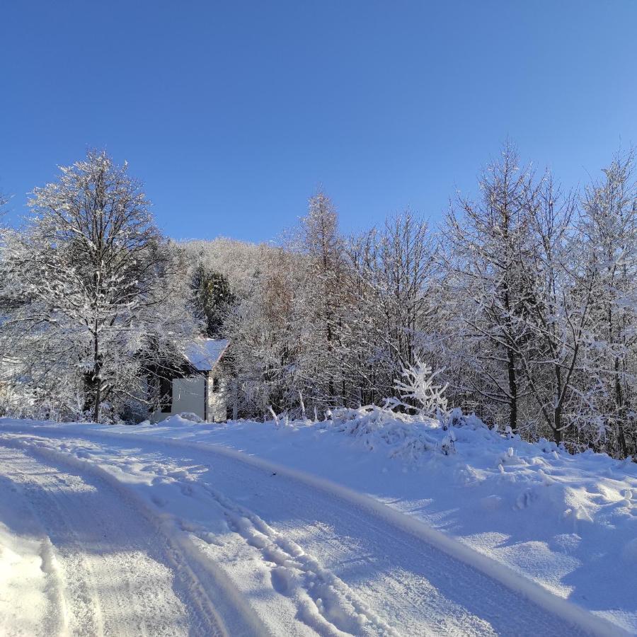 Appartamento Kocia Gorka Wisła Esterno foto
